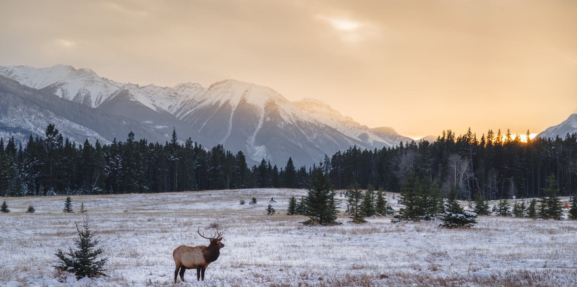 Trans-Canada and Rockies Adventure 