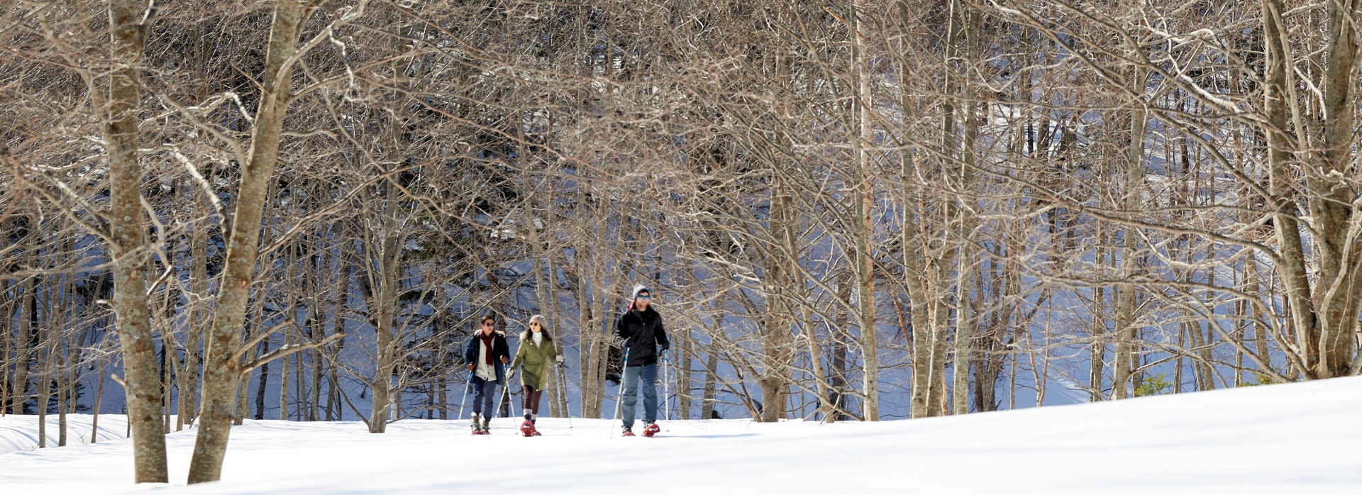 Japan Ski Sale banner